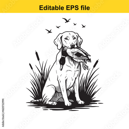 Vector art of labrador retriever dog with duck in mouth, isolated on white background