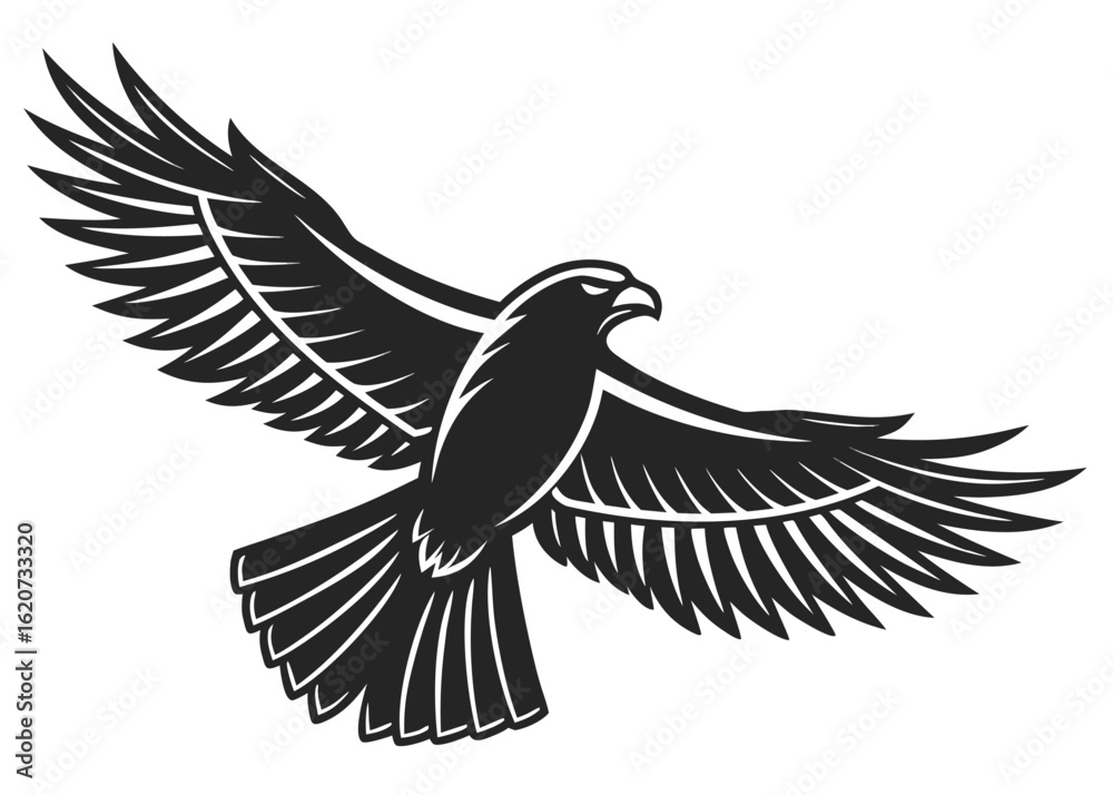 Obraz premium Black and White Hawk in Flight Detailed Wing Feathers Bird Silhouette Graphic Design Element eagle