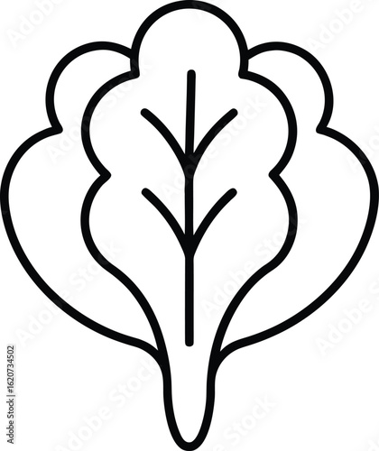 spinach icon outline vector illustration on transparent background