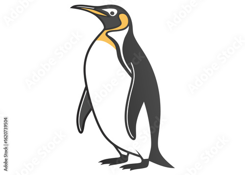 King Penguin Illustration Gray Black White Yellow Antarctic Bird Wildlife Animal Graphic Design vector