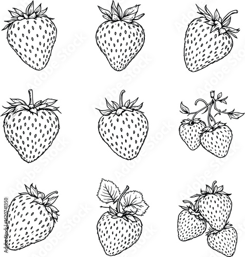 “Forms of Fruit” — Archetypes of a Strawberry