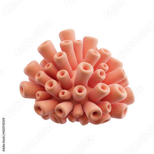 Abstract coral colony with multiple tubes isolated on transparent background