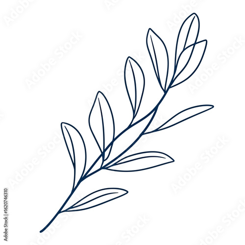 Minimalist single line drawing of bay laurel leaf branch with simple flat style isolated on white background for botanical design and decorative art concept