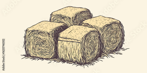 Hand drawn hay bales stack set isolated on light background sketch style agricultural farming haystack illustration vector