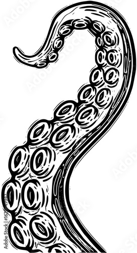 Octopus tentacle isolated on white