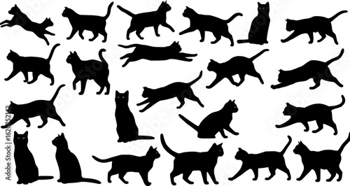 Cat silhouettes set, large pack of vector silhouette design, isolated white background
