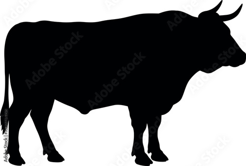 Black silhouette of a powerful bull standing