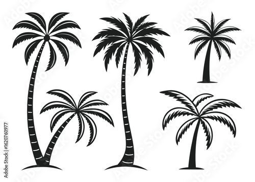 Collection of Five Black Silhouette Palm Trees on White Background tropical nature