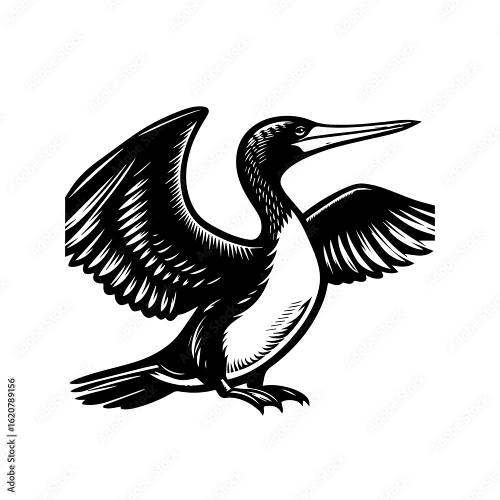 Obraz premium Illustration of a cormorant with wings spread isolated on white background