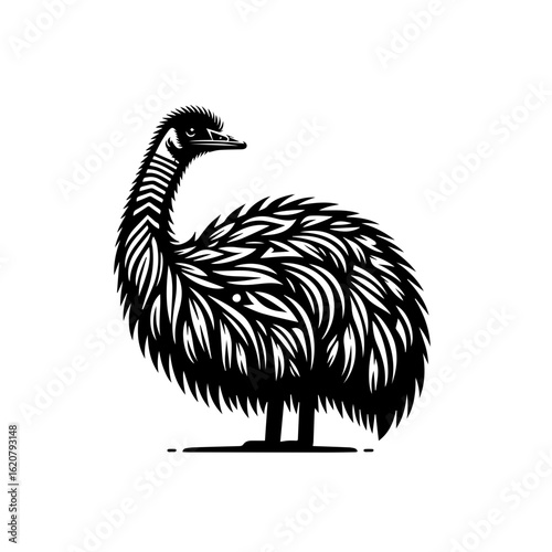 A detailed emu illustration isolated on white background with intricate pattern