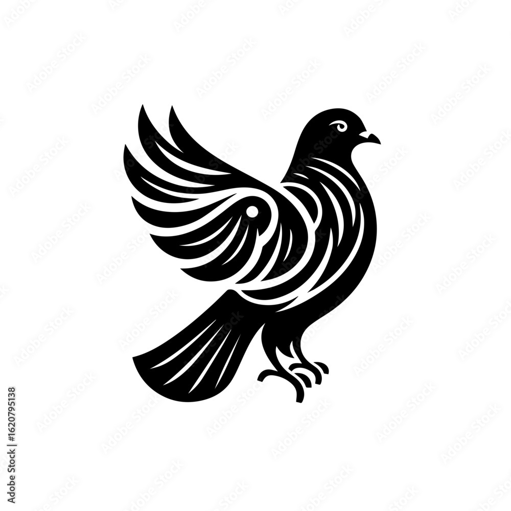 Fototapeta premium Elegant black and white dove in flight isolated on white background