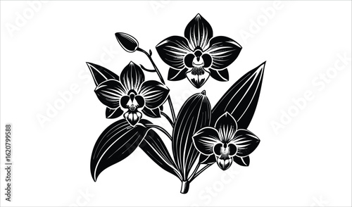 Stylized black and white orchid flower illustration