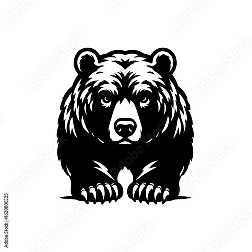 brown bear cartoon