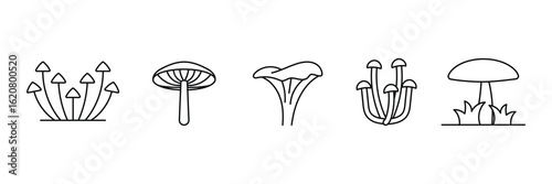 Set of Forest mushroom liner icon collection. Porcini, cep, champignon symbol.