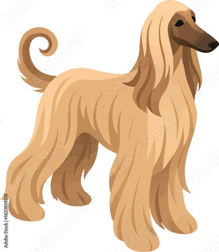 Isometric vector afghan hound with flowing hair, graceful standing pose, vector-friendly, isolated on white