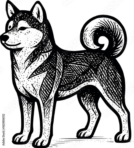 Vintage scratch-style illustration of shiba inu with curled tail, geometric fur details, vector-friendly, isolated on white