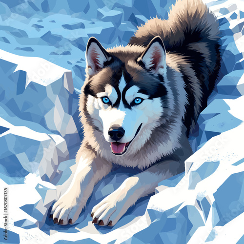 Isometric vector husky lying in snow patch with icy blue eyes, thick fur, vector-friendly, isolated on white