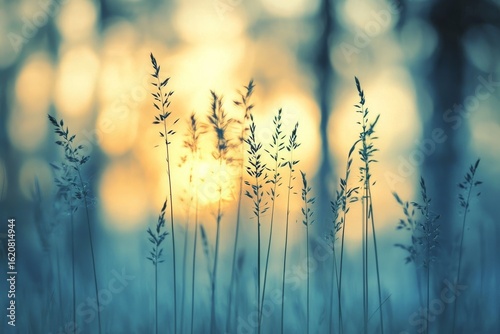 Sunrise Meadow Teal Silhouette Grass with Golden Bokeh , Nature, Serene