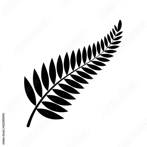 Black fern frond silhouette on a white background leaf plant 1