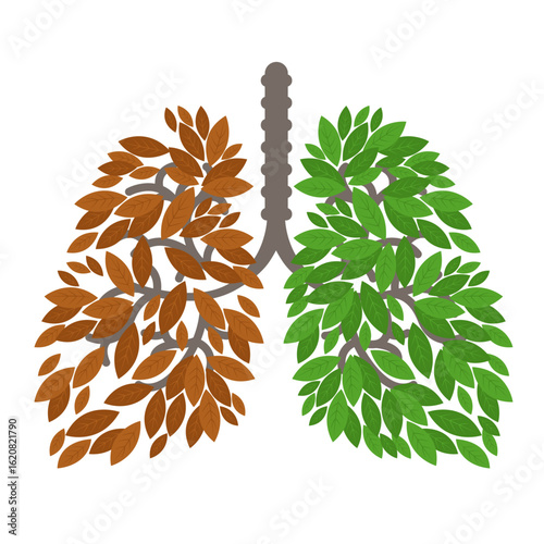Conceptual illustration of lungs with dry brown and fresh green leaves, symbolizing the contrast between lung damage and healing, smoking and detox, sickness and recovery