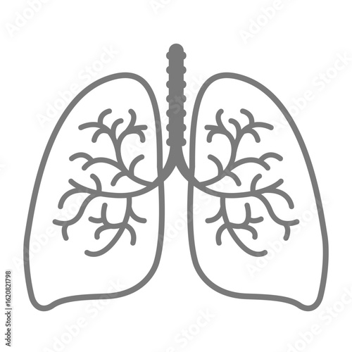 Minimal line art icon of human lungs with bronchial structure. Simple anatomical illustration for medical, healthcare, respiratory, or educational projects