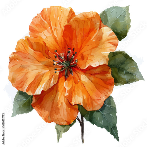 Clock Flower, watercolor clipart vector, isolated on a white background.