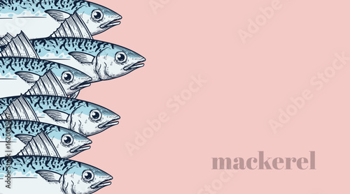 Set of mackerel fish. A school of fish on a pink background. Seafood restaurant retro hand drawn design template. Vector illustration.