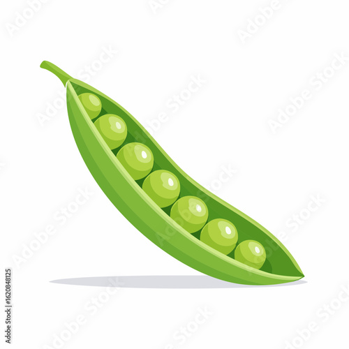 Erbsenschote – Symbol für vegane Proteinquelle