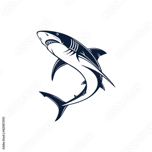 Wallpaper Mural shark vector illustration Torontodigital.ca