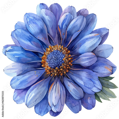 watercolor of Aster Flower, vector, isolated on a white background.