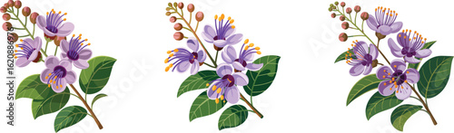 Set of three vector sprigs with lavender flowers prominent purple stamens and green leaves
