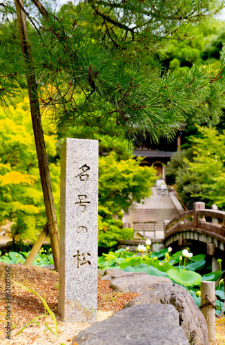 Photography temple in tokyo