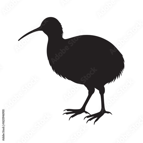 Black Silhouette of a Flightless Bird with Long Beak and Clawed Feet Standing on Two Legs