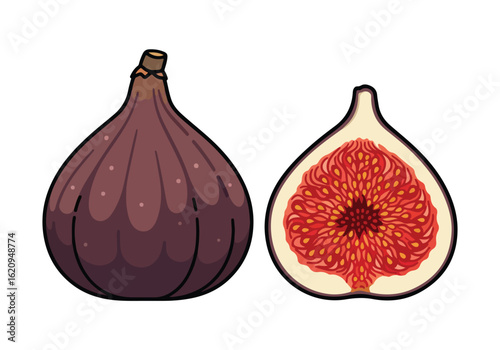 Whole and sliced purple fig isolated on white background