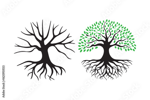 Two stylized trees one bare and one with green leaves and visible roots