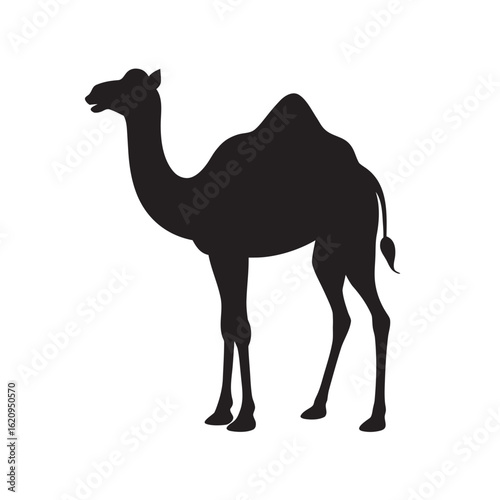 Black Silhouette Vector Graphic of a Standing Camel Against a White Background Showing its Distinctive Hump and Tall Legs