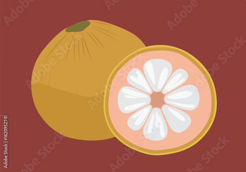 Santol fruit, whole and sliced, showcasing its unique texture and flesh, a popular tropical delicacy from southeast asia