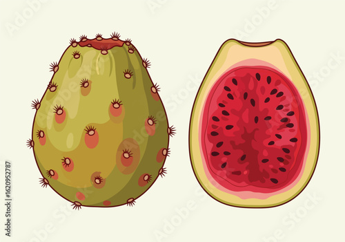 Prickly pear cactus fruit, whole and sliced, revealing its vibrant red flesh and numerous seeds, a nutritious and unique food source