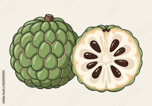 Whole and halved custard apple fruit, isolated on white background