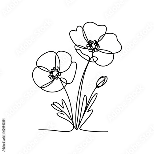 Poppy flowers in continuous line art drawing style, Minimalist black linear design, line art Poppy flowers