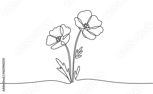 Poppy flowers in continuous line art drawing style, Minimalist black linear design, line art Poppy flowers