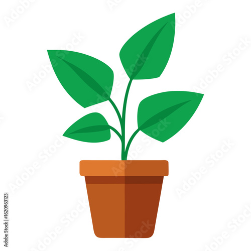Green houseplant with leaves in a terracotta pot isolated on transparent background