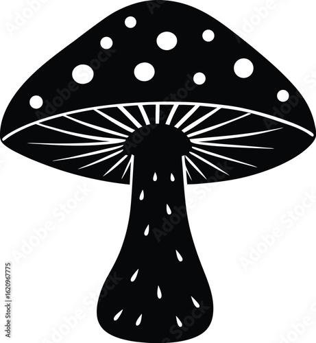   set of black and white mushroom