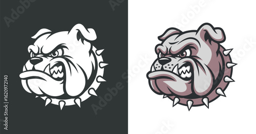 Fierce Bulldog Head Vector Illustration in Monochrome and Color Versions for Sport Team Mascot or Logo Design Projects