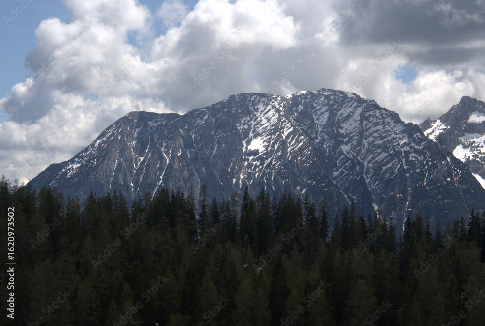 Obraz premium Snow-capped mountain peaks rise above dense evergreen forests under a cloudy sky in the afternoon light