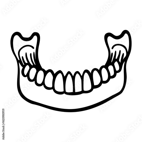 Jawbone with teeth outline in black and white illustration 