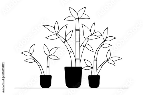 Minimalist Lucky Bamboo Art for Lunar New Year Celebrations