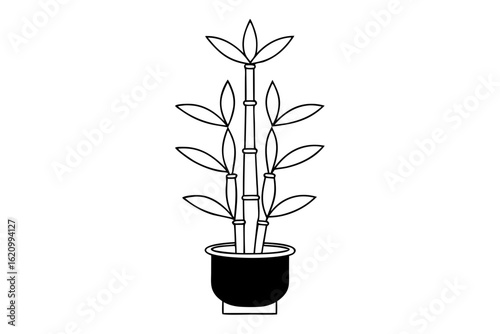 Lucky Bamboo Line Drawing for Chinese New Year Decoration Design