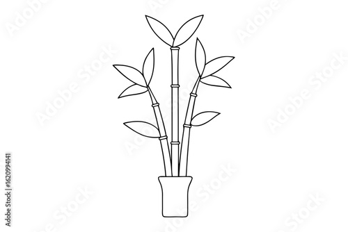 Hand Drawn Lucky Bamboo Outline for Chinese Holiday Design