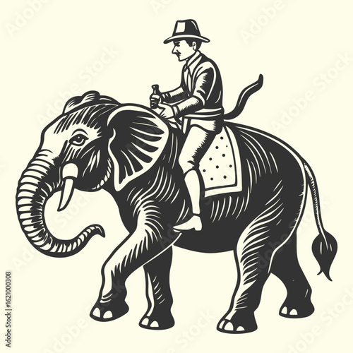 A striped zebra and a gray elephant are isolated wild mammals in a safari drawing